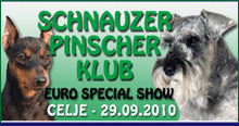 PSK VDH FCI KZS KLSPS Euro Spezial Dog Show Slovenia Deutscher Pinscher Haller Deutsche Pinscher