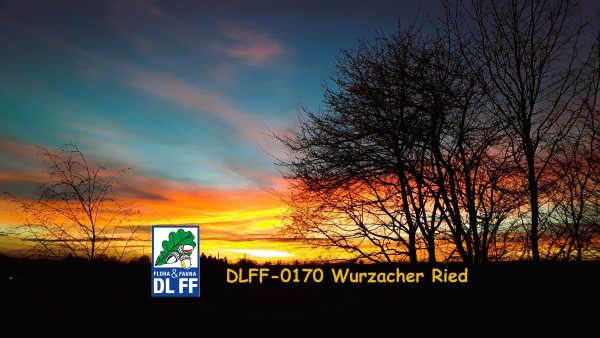 DJ2GMS_Wurzacher Ried_Sonnenuntergang_DLFF-0170