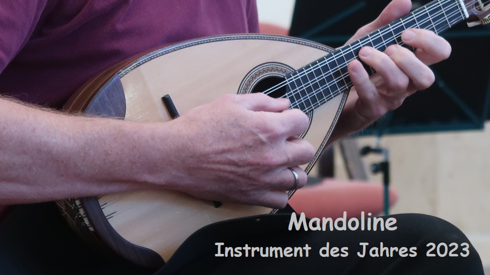 Mandoline - Instrument des Jahres 2023 - DJ2GMS - Haller Deutsche Pinscher - Deutscher Pinscher PSK VDH FCI