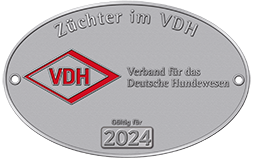 Züchter im VDH_Haller Deutsche Pinscher_Deutscher Pinscher PSK VDH FCI